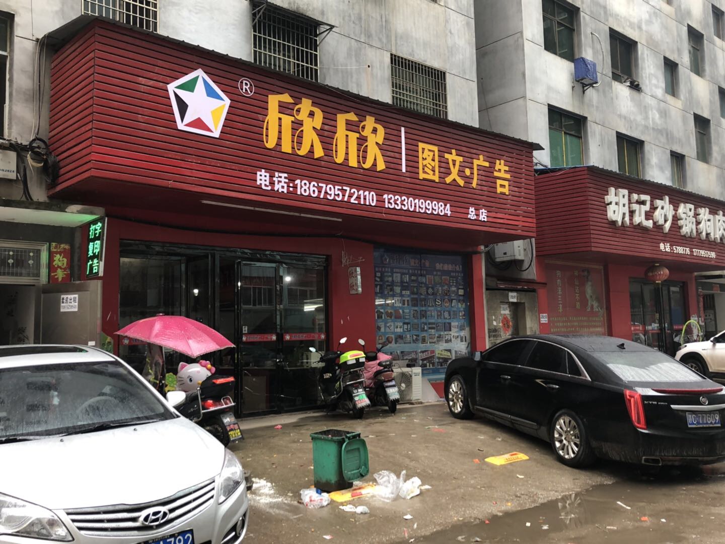 高安欣欣图文广告